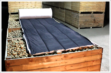 Kołdra ziemniaczana Trident